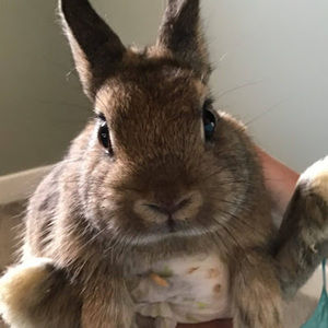 Meet your Posher, Jayce